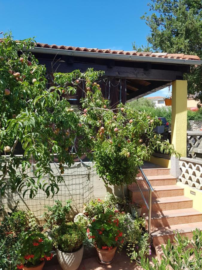Apartmani Grguric Kornic Exterior photo