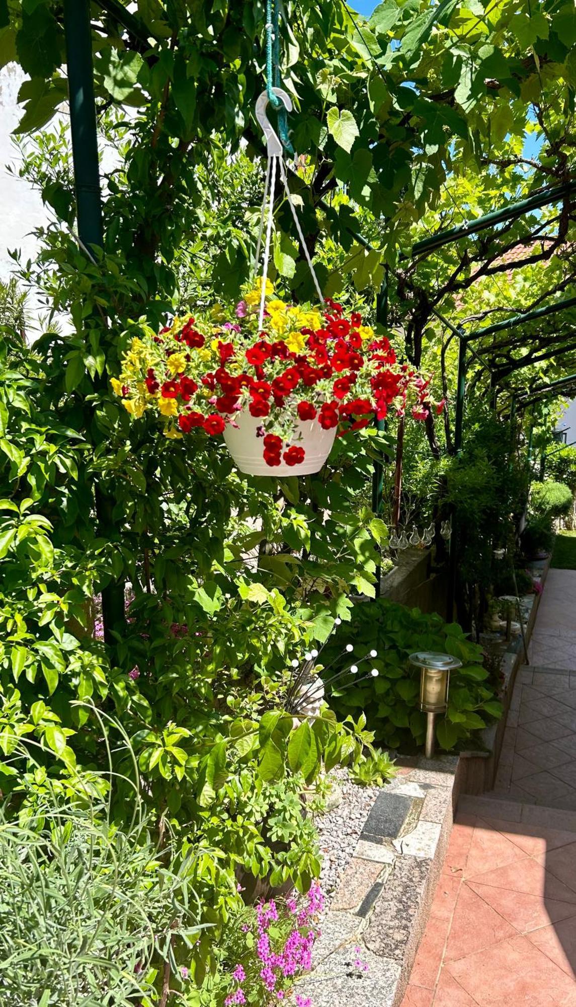 Apartmani Grguric Kornic Exterior photo